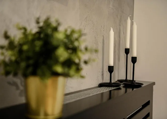 아파트 Cozy 노비사드